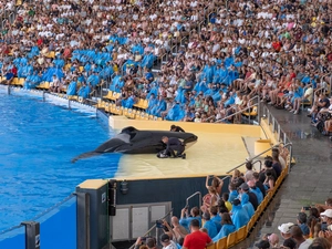 Loro Parque - España