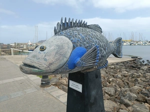 Corralejo Port - Spagna