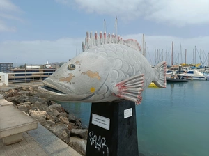 Corralejo Port - Spagna